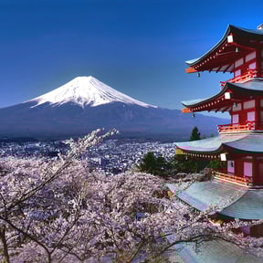 HOTEL MYSTAYS Fuji Onsen Resort