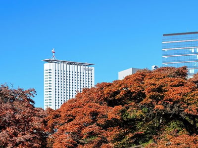 Century Southern Tower Hotel