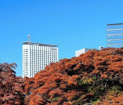 Century Southern Tower Hotel