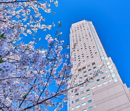 Cerulean Tower Tokyu Hotel