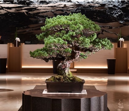 Hilton Hiroshima