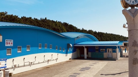 Primary image