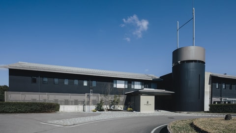 Primary image