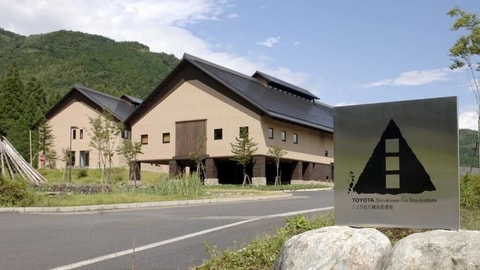Primary image
