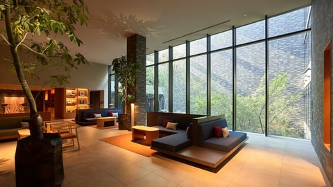 主图片