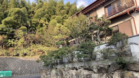 主图片