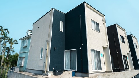 Primary image