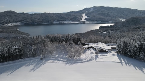 Primary image