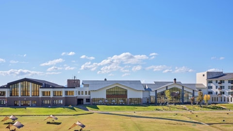 Primary image