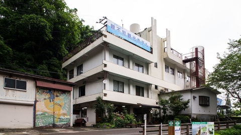 Primary image