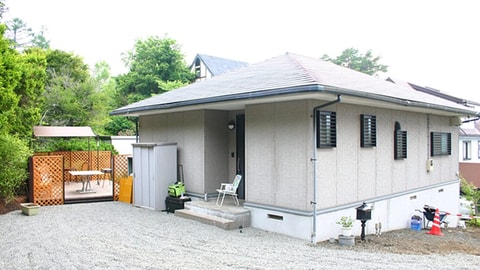 Primary image