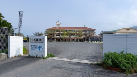Primary image