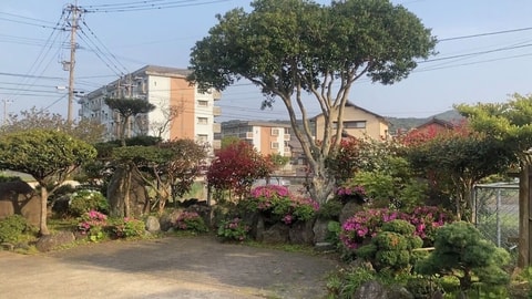 Primary image