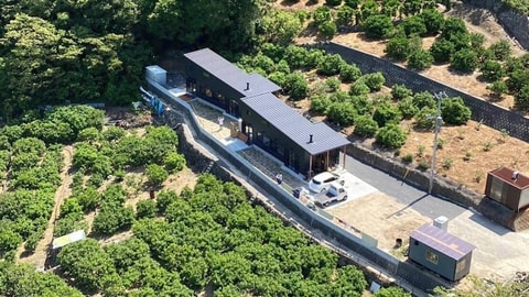 Primary image