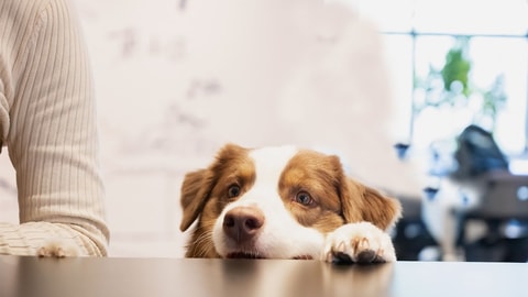 前台