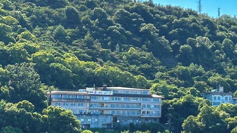 Primary image