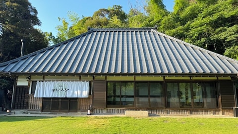 Primary image