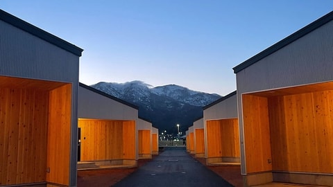 Primary image