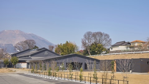 Primary image