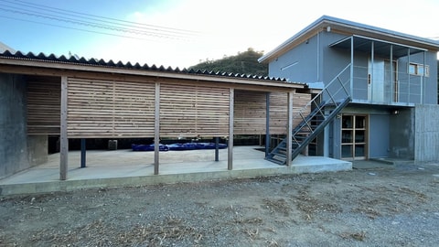 Primary image
