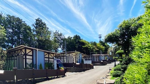 Primary image