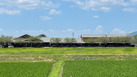 Primary image