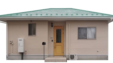 Primary image