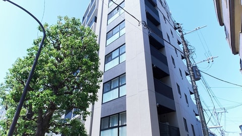 Primary image