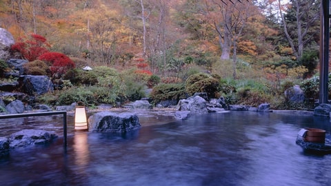 Primary image