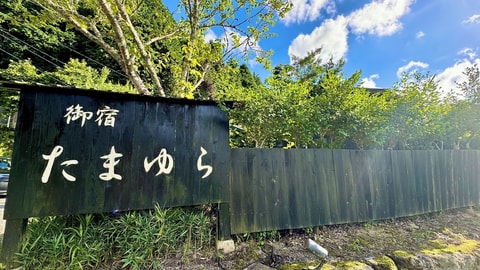 Primary image