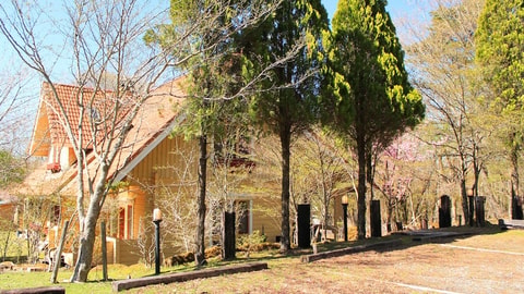 Primary image