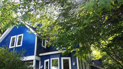 Primary image