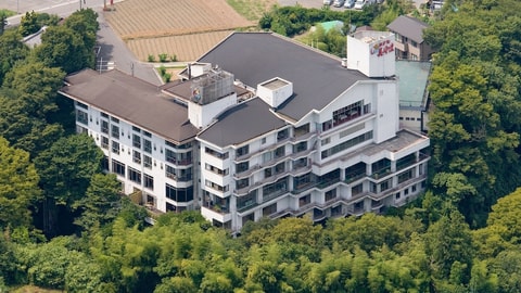 Primary image