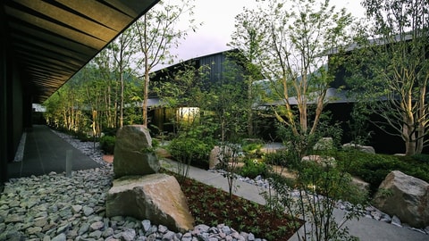 Primary image