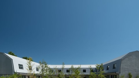 Primary image