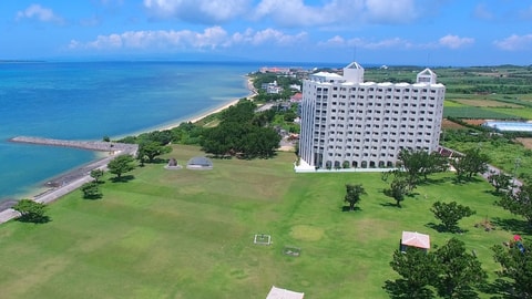 Primary image