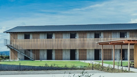 Primary image