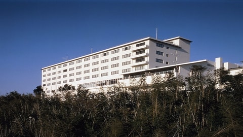 Primary image