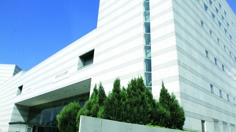 Primary image