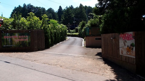 Primary image