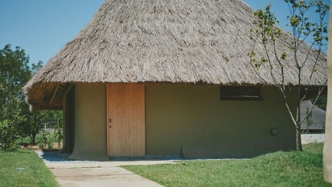 Primary image