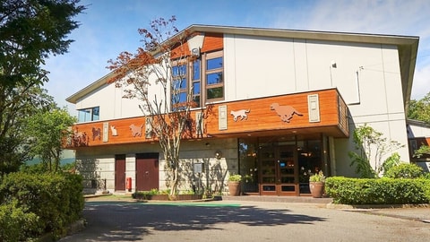 Primary image