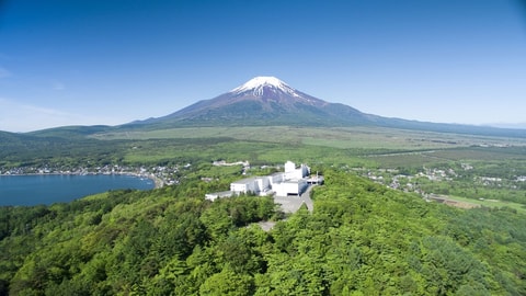 Primary image