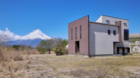 Primary image
