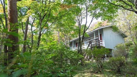 Primary image