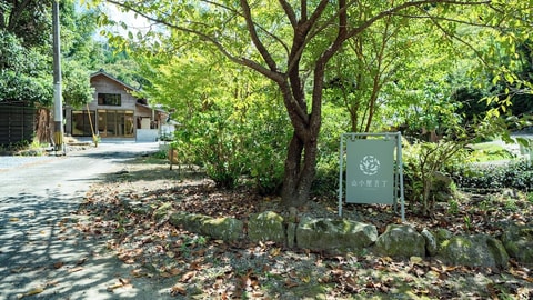 Primary image