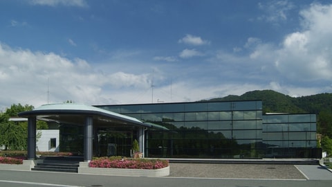 Primary image
