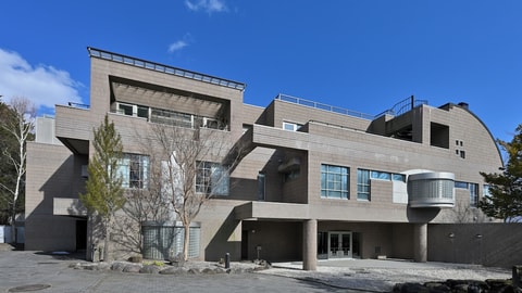 Primary image