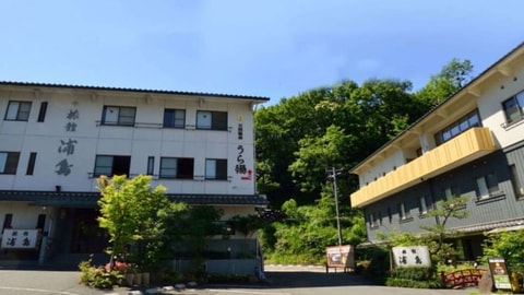 Primary image