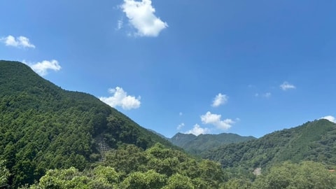 客房